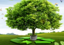 Environmental Management System Ireland