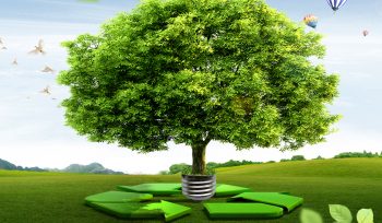 Environmental Management System Ireland
