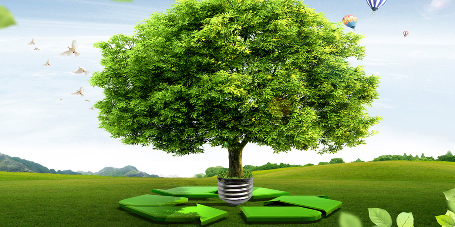 Environmental Management System Ireland